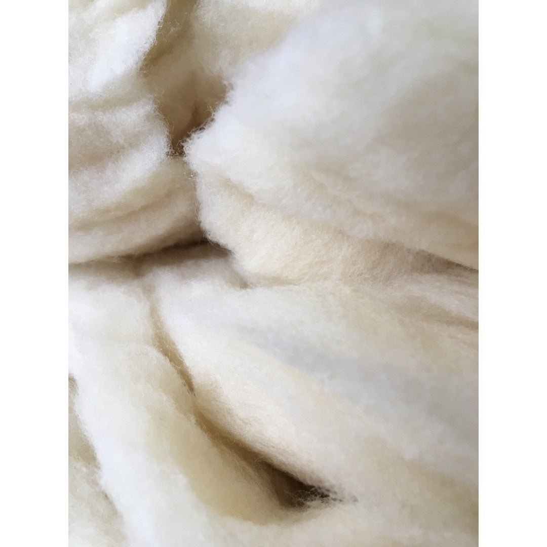 Close-up of white Romeldale-Corriedale roving
