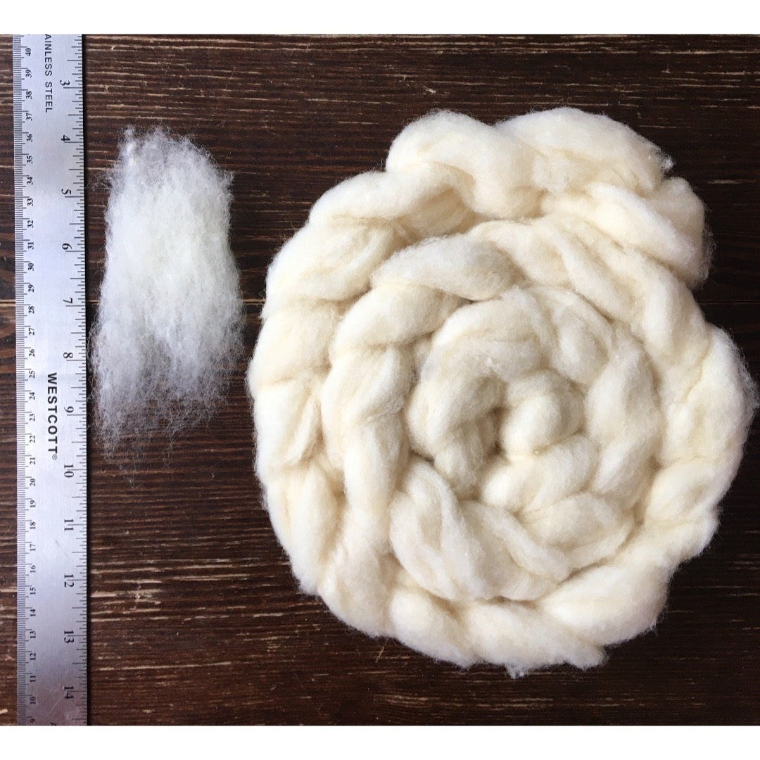 Braided Corriedale roving and a staple of fibre next to a ruler on a wooden surface