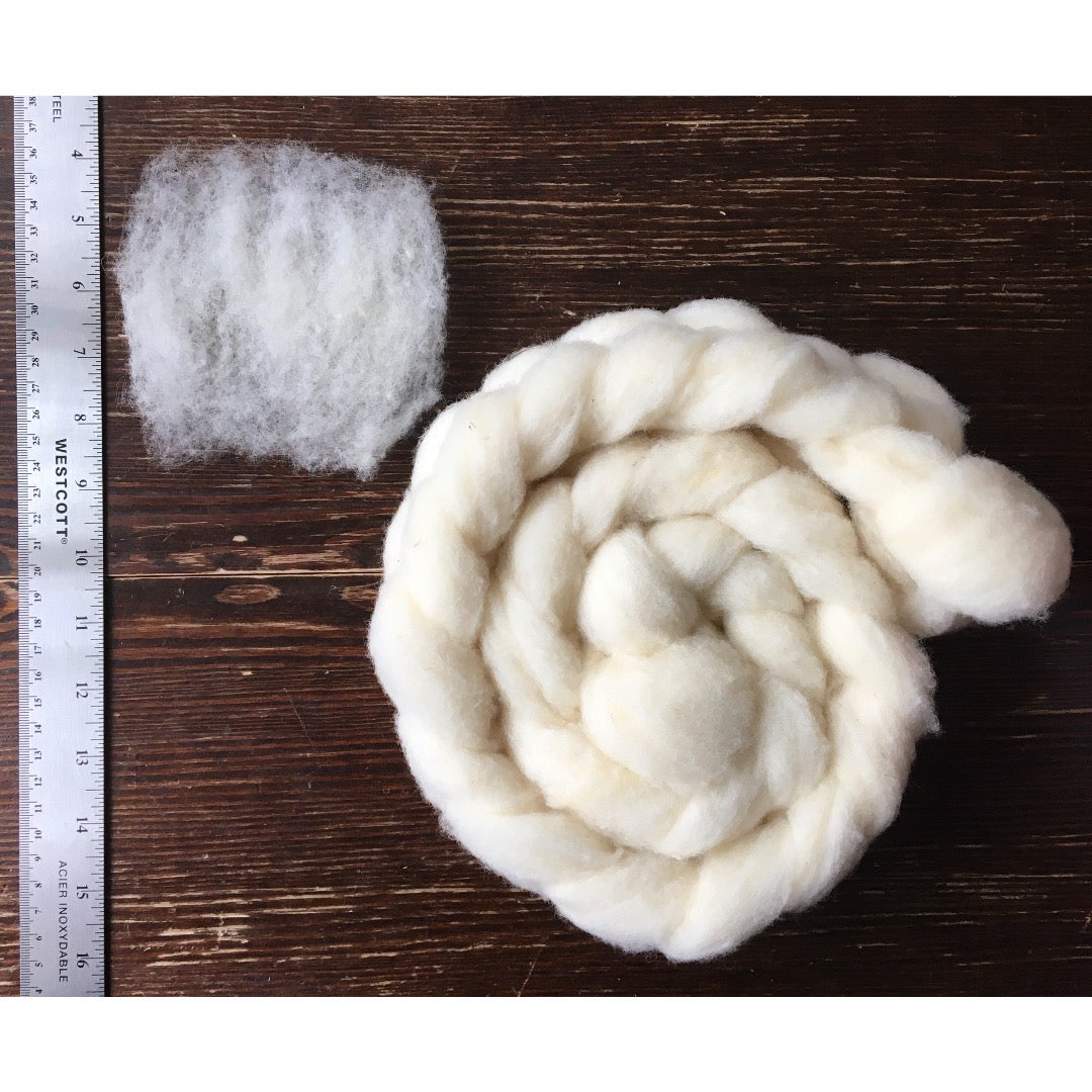 Braid of white roving on a wooden surface with a staple of roving against a ruler.