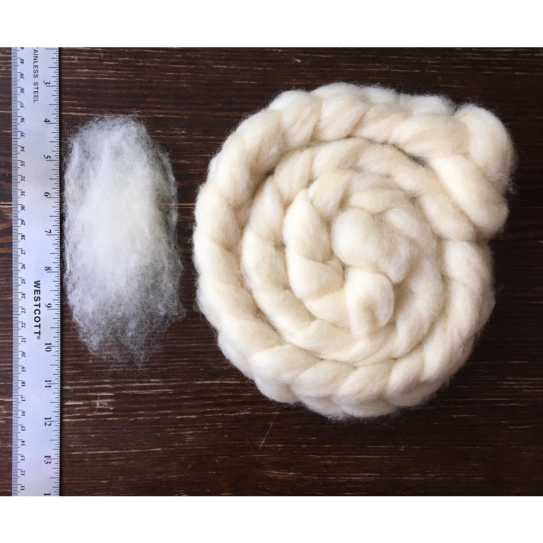 Braided Romney roving and a staple of Romney roving on a wooden surface beside a ruler.