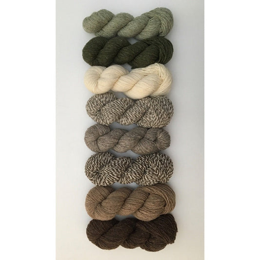 One row of 8 different colored hanks of CVMco yarn 