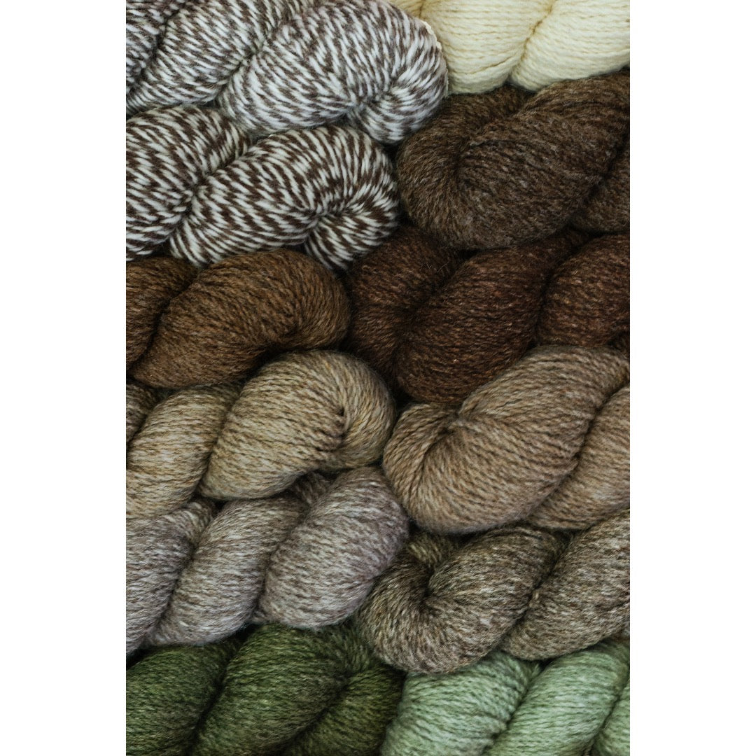 12 hanks of CVMco worsted weight yarn in 12 colours