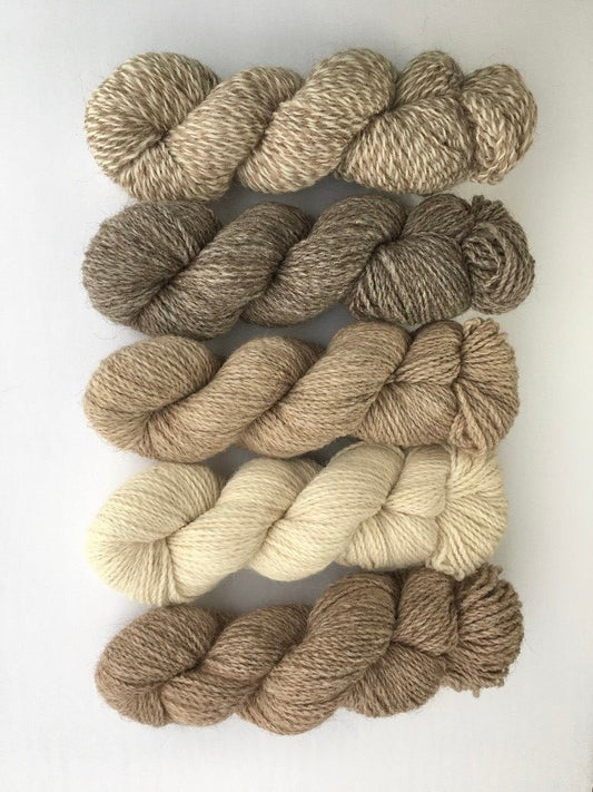 Five hanks of Copaca worsted weight yarns in different colours