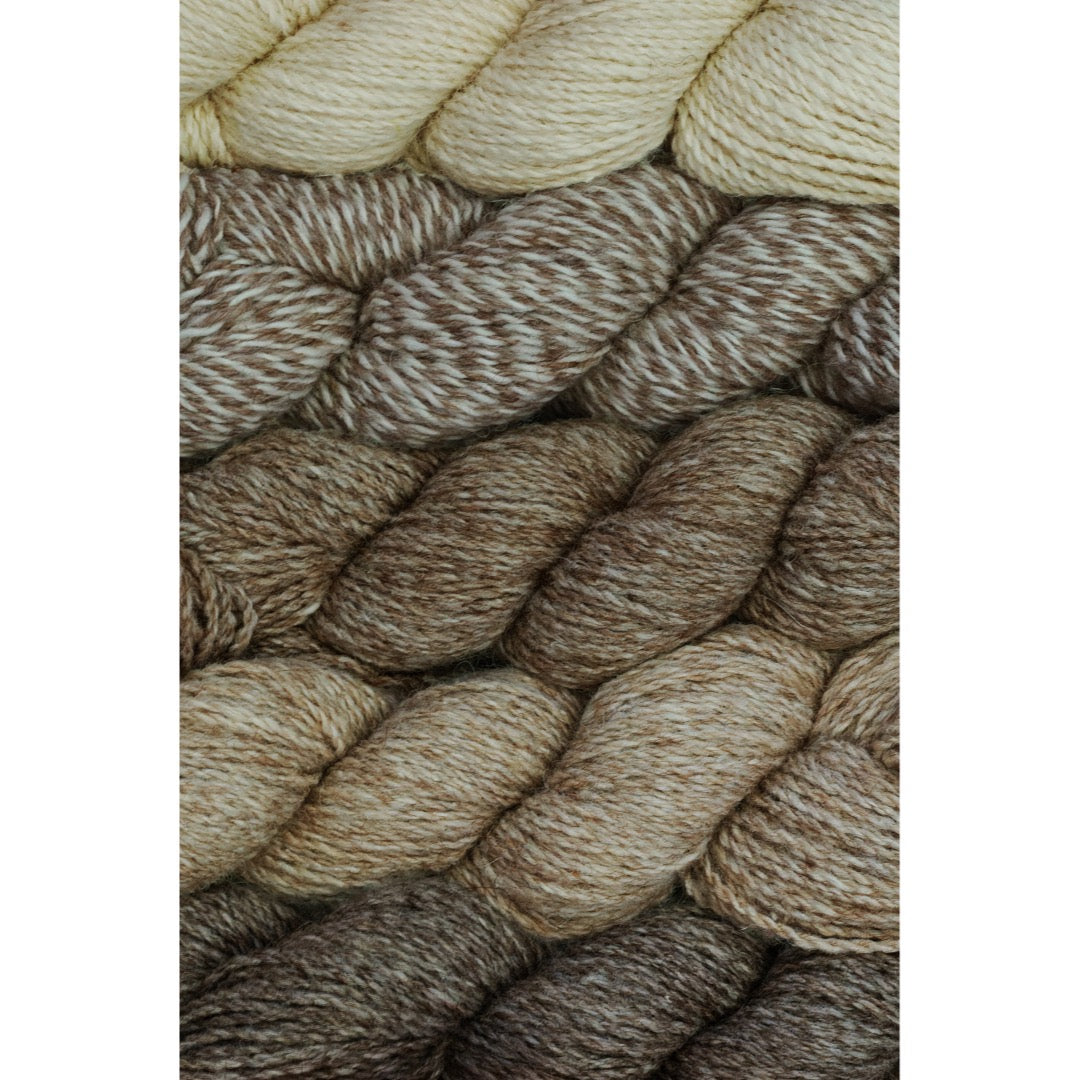 Five hanks of Copaca worsted weight yarns in five colours