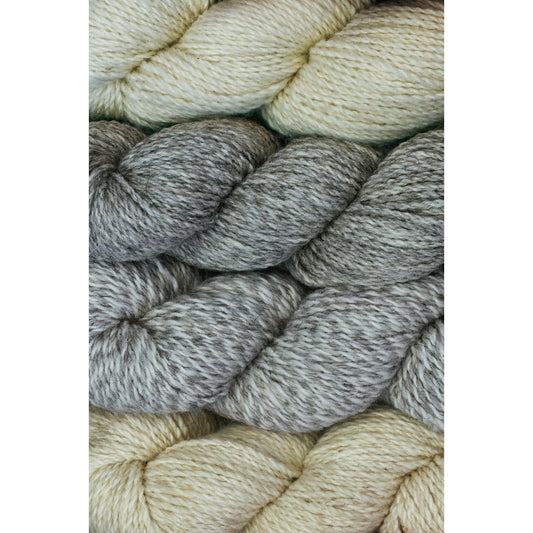 Four  hanks of Ramo worsted weight yarn in four colours