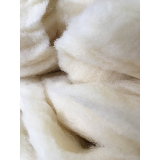 Close-up of white Romeldale-Corriedale roving