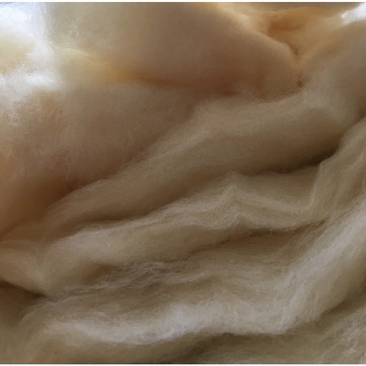 Close-up of Romney wool fibers