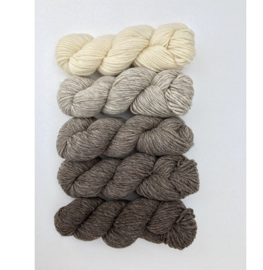 5 hanks of Roram Bulky yarn, left to right: dark brown, dark grey with brown, cool dark grey, silvery light grey, warm cream