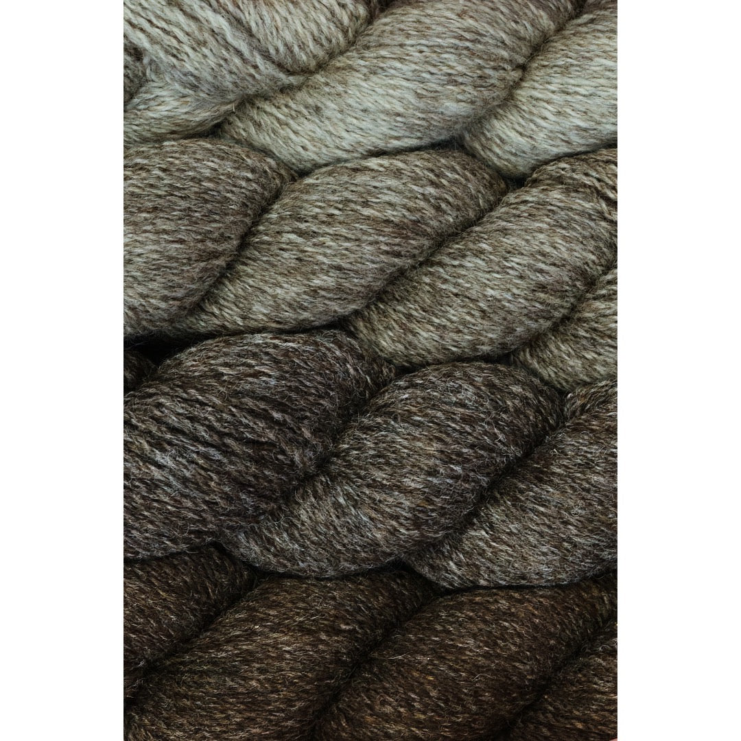 Four hanks of Rox yarn in four colours